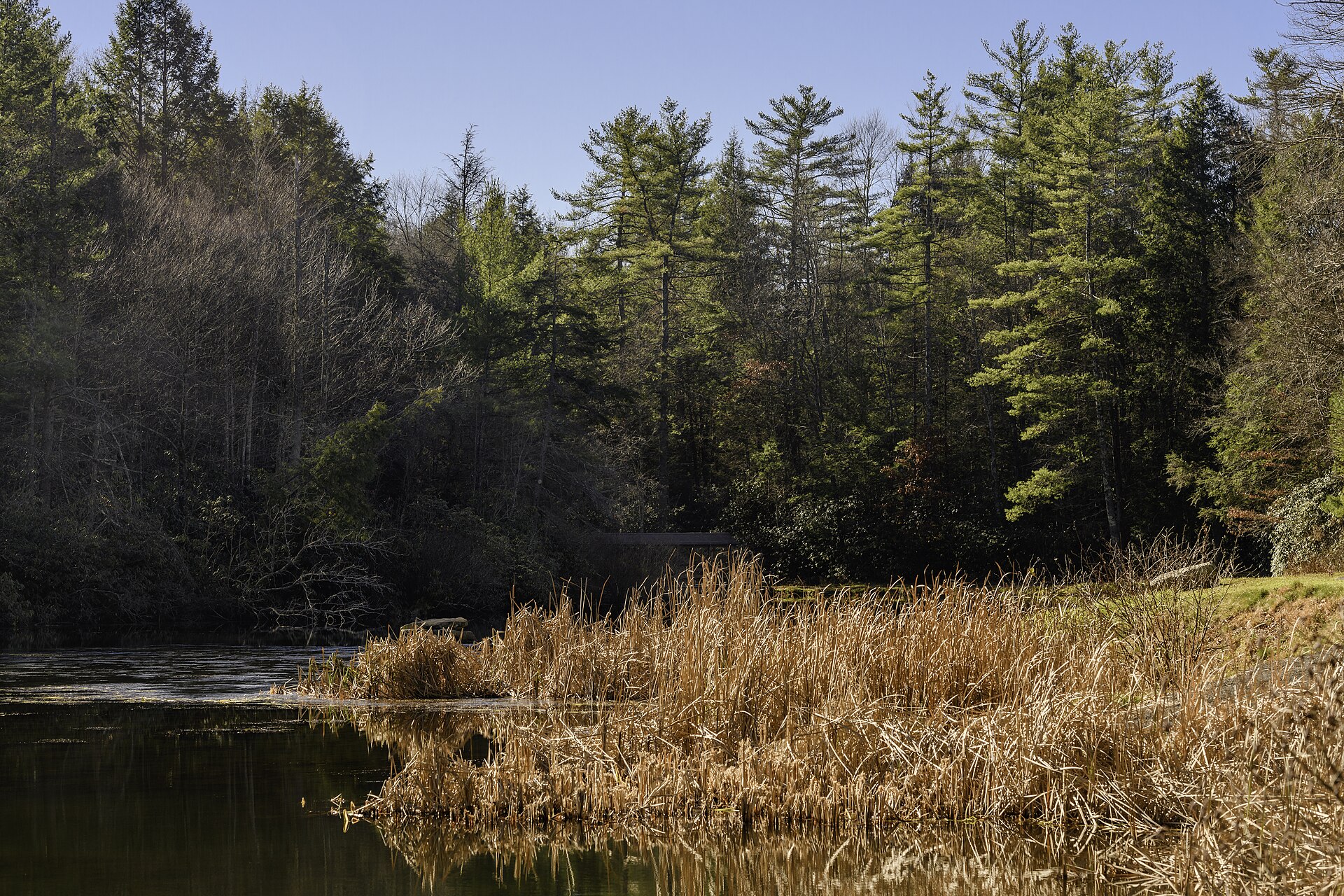 The green Appalachian hills and lake at Little Beaver State Park near Beckley, West Virginia